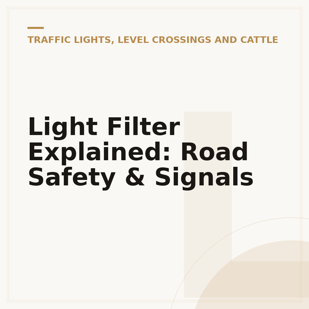 Light Filter Explained: Road Safety & Signals