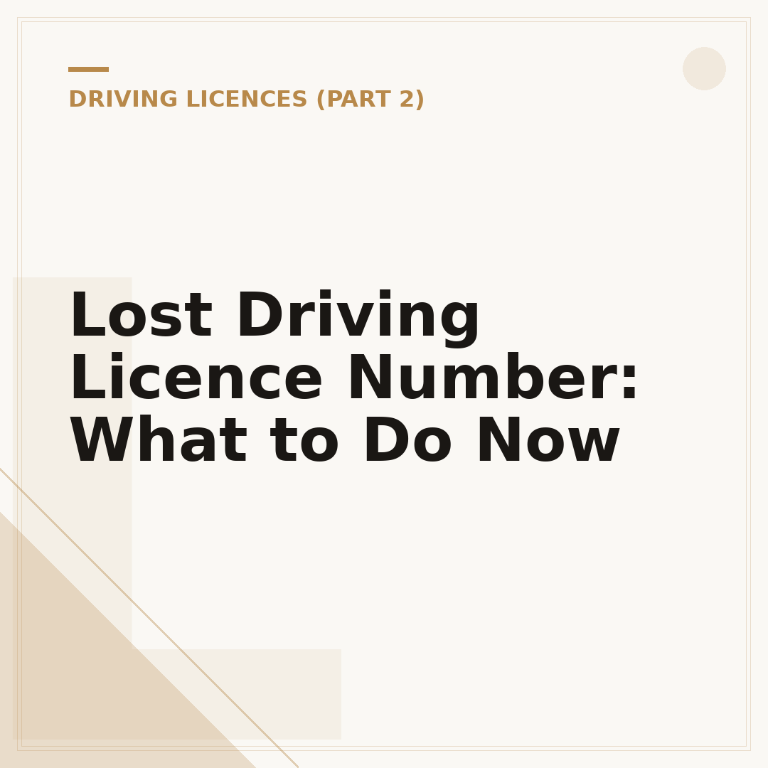 Lost Driving Licence Number: What to Do Now