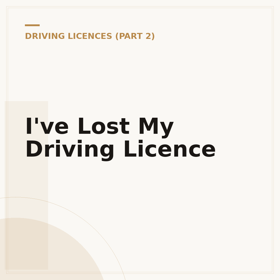 I've Lost My Driving Licence