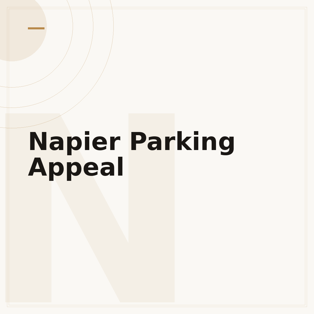 Napier Parking Appeal