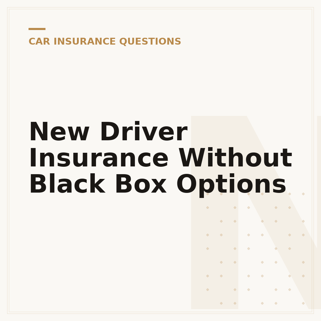 New Driver Insurance Without Black Box Options