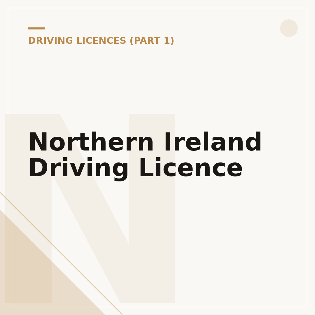 Northern Ireland Driving Licence