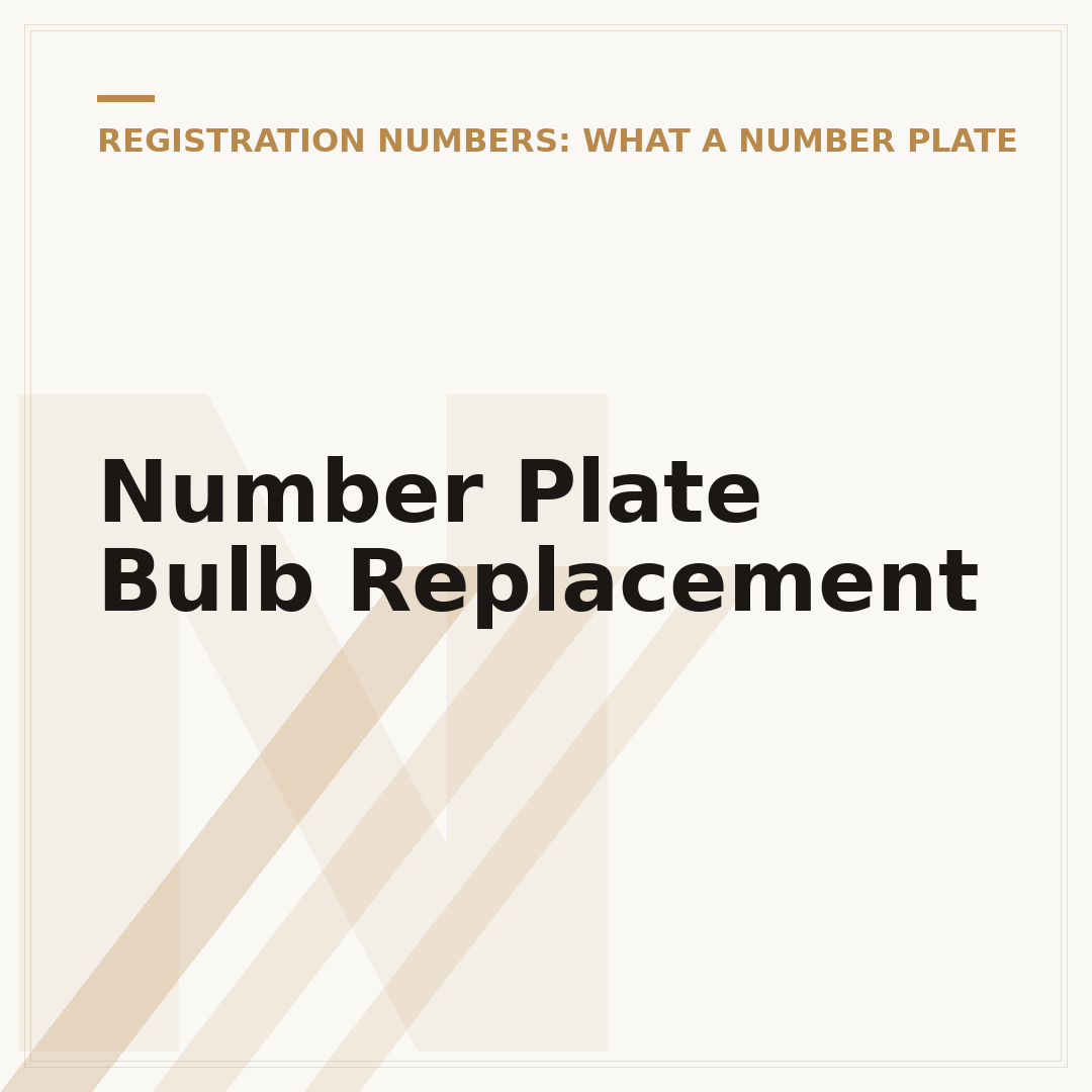Number Plate Bulb Replacement