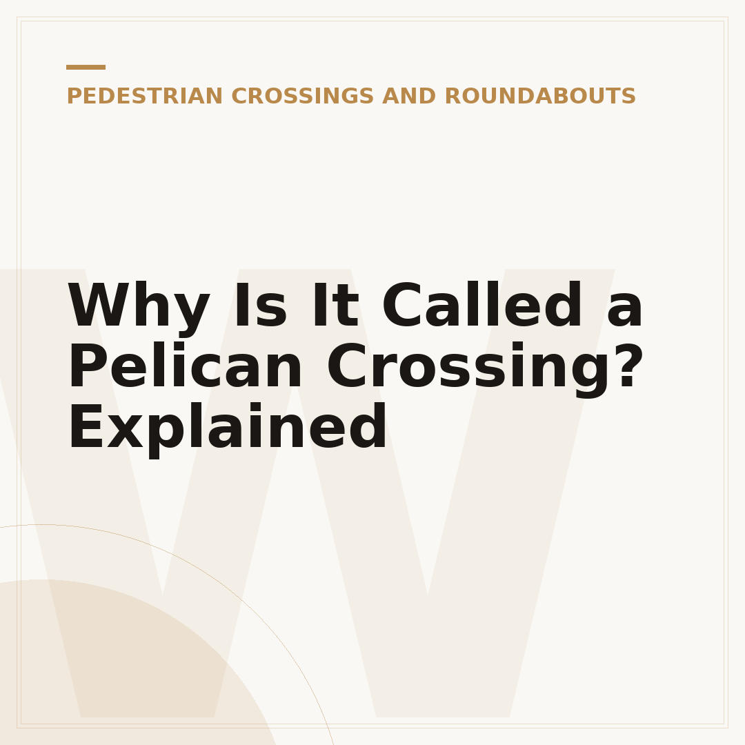 Why Is It Called a Pelican Crossing? Explained
