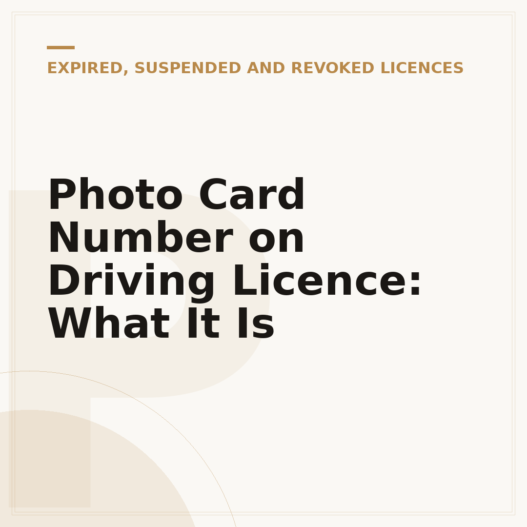 Photo Card Number on Driving Licence: What It Is
