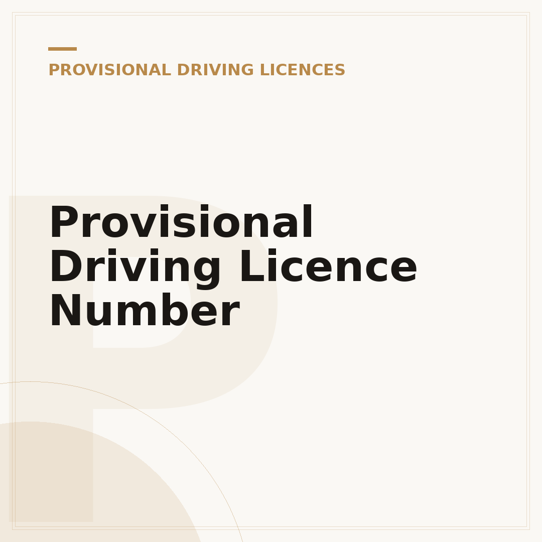 Provisional Driving Licence Number