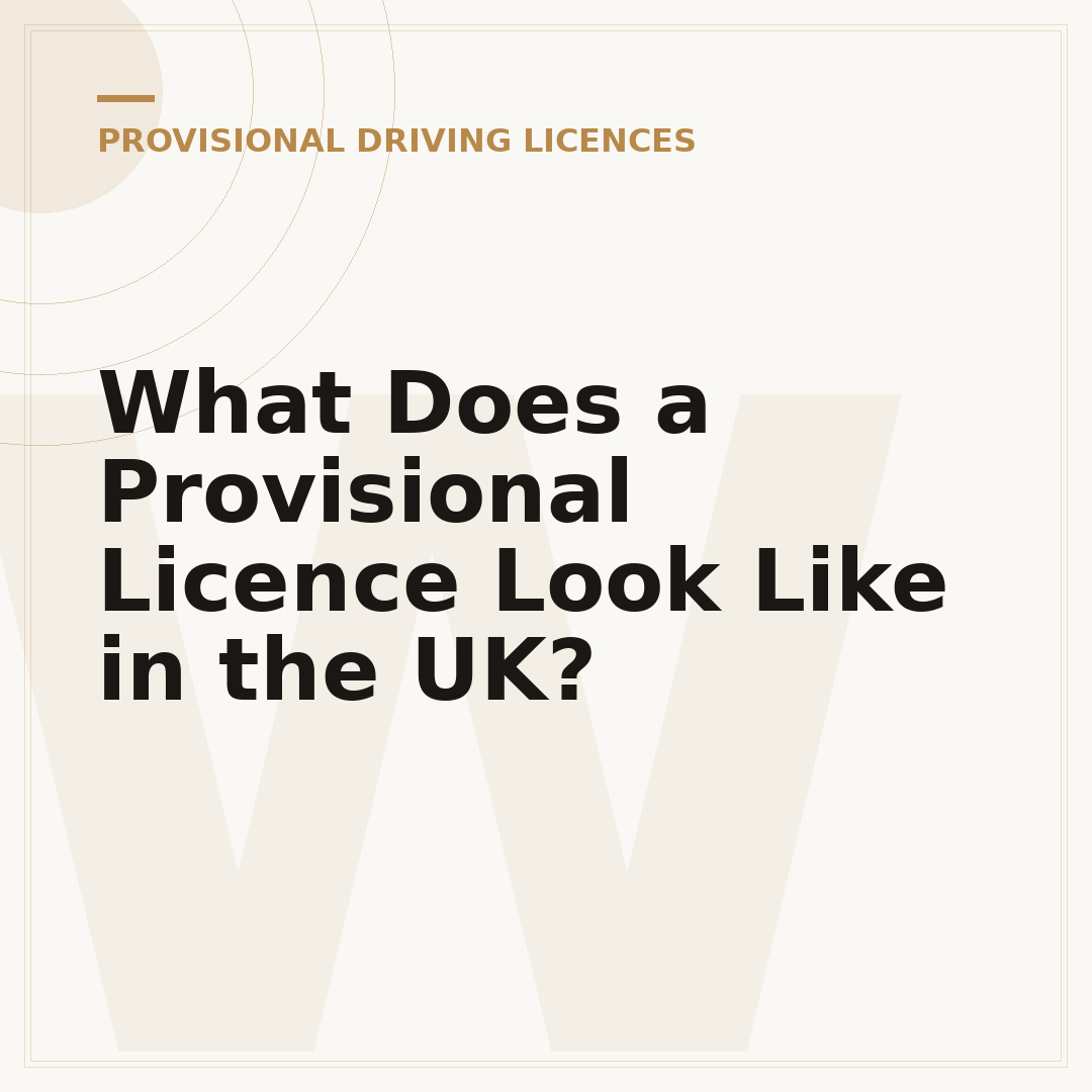 What Does a Provisional Licence Look Like in the UK?