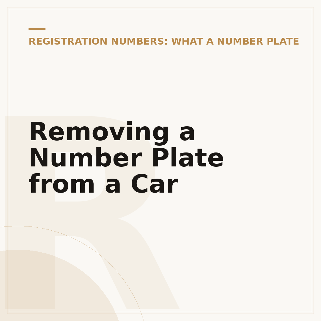 Removing a Number Plate from a Car