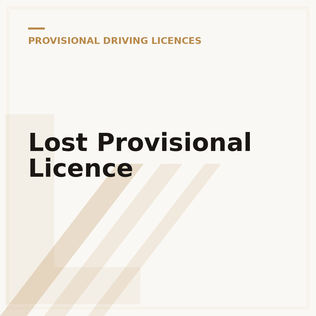 Lost Provisional Licence