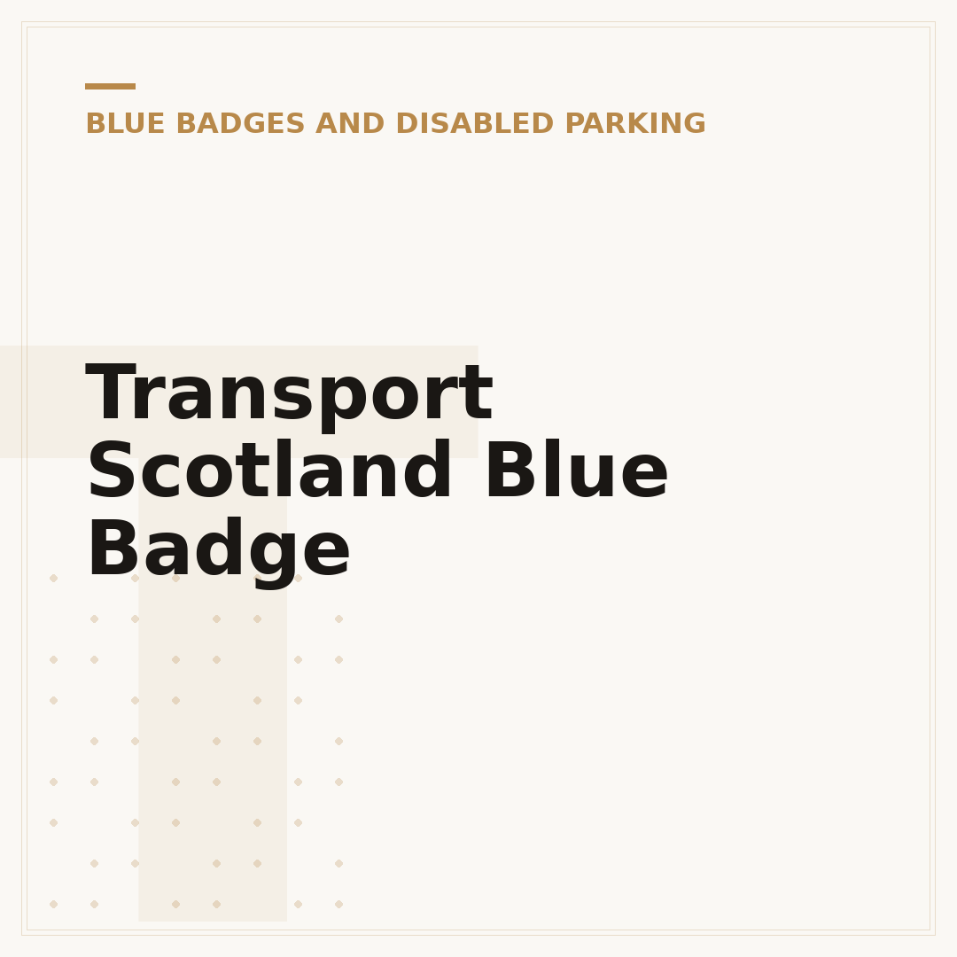 Transport Scotland Blue Badge