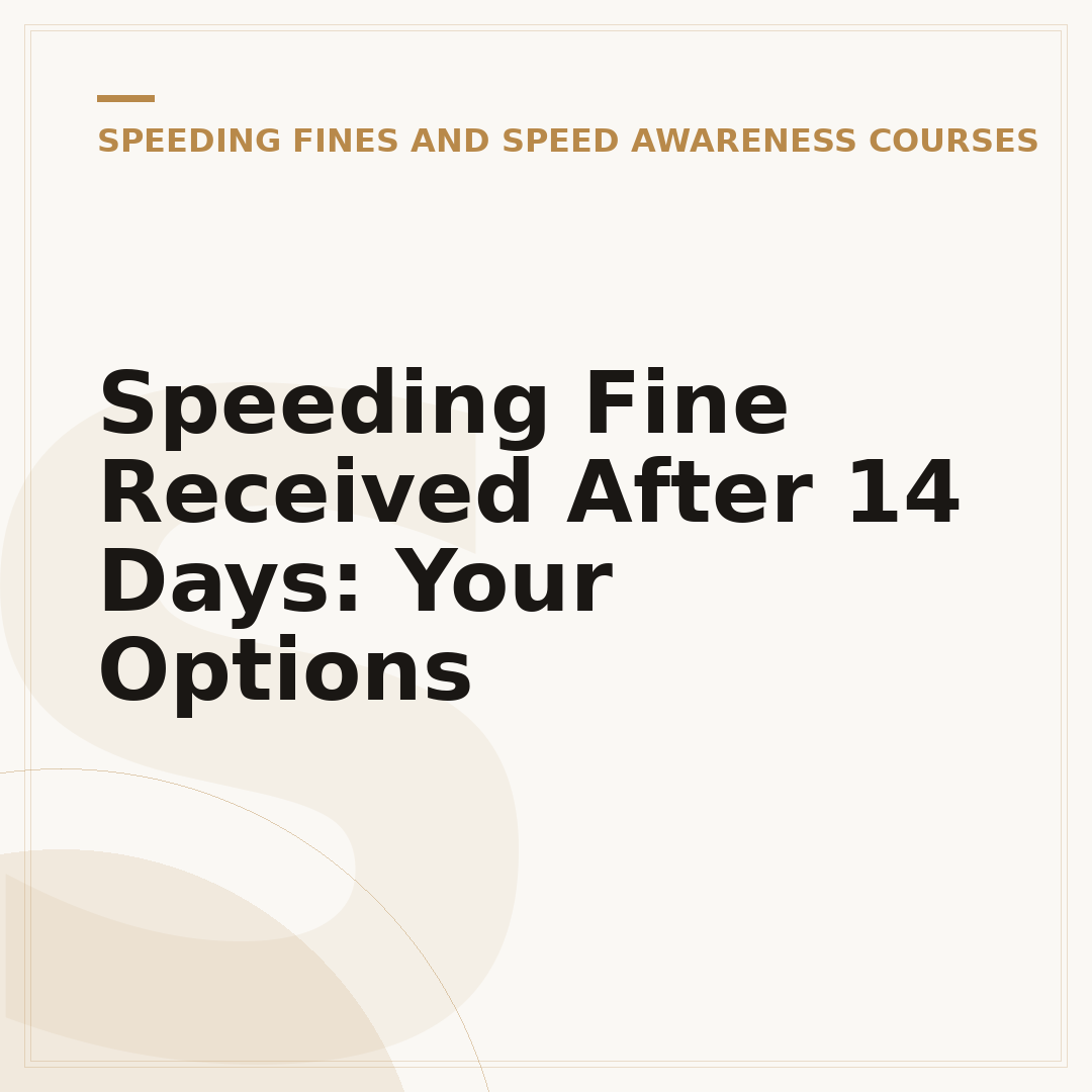 Speeding Fine Received After 14 Days: Your Options