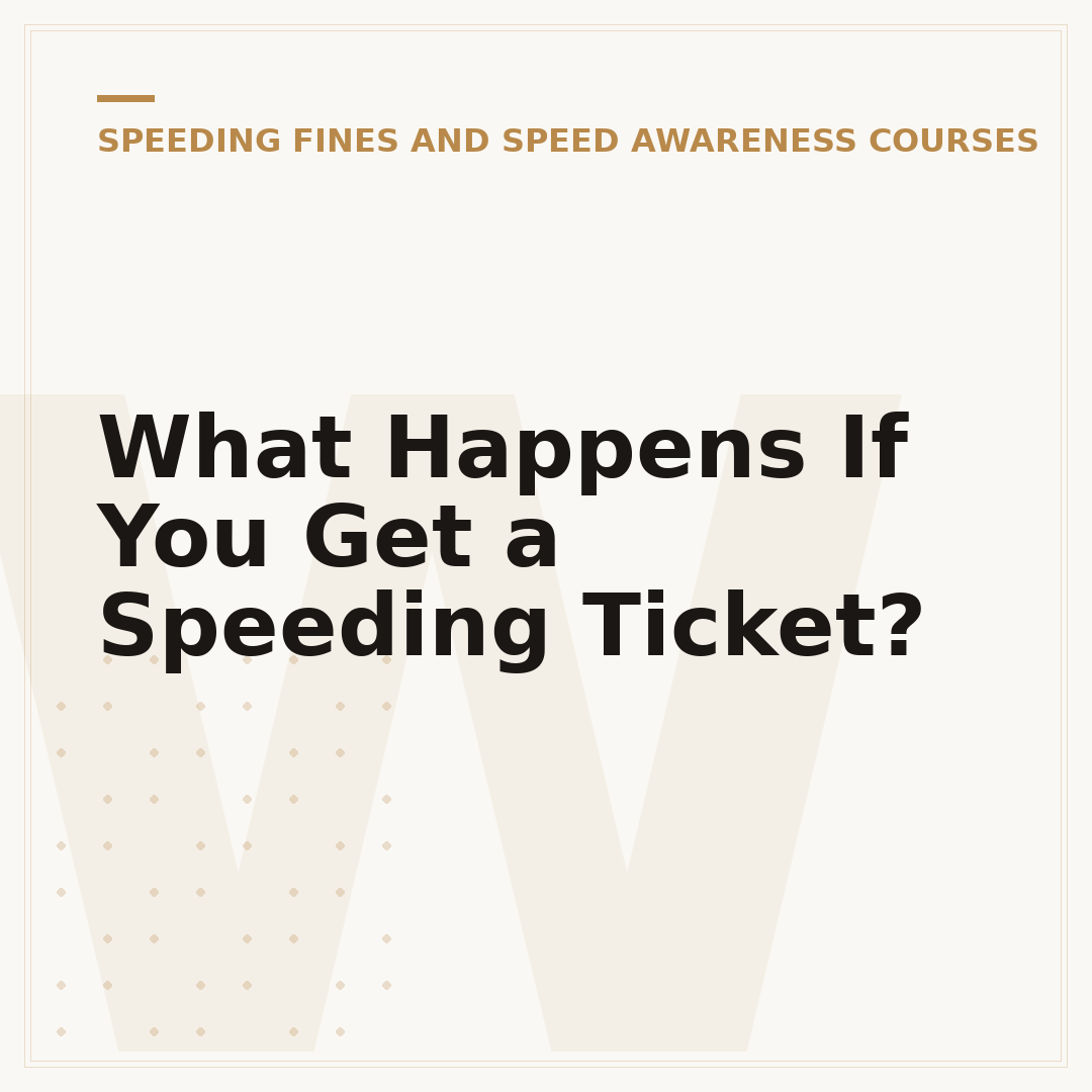 What Happens If You Get a Speeding Ticket?
