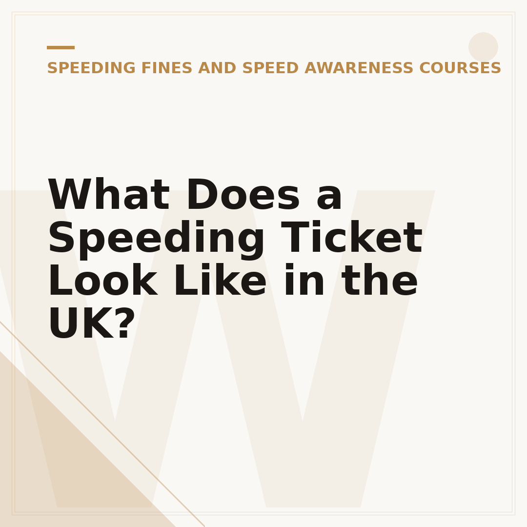 What Does a Speeding Ticket Look Like in the UK?