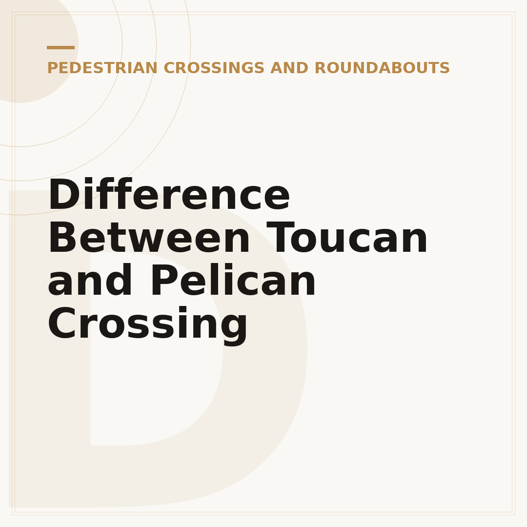 Difference Between Toucan and Pelican Crossing