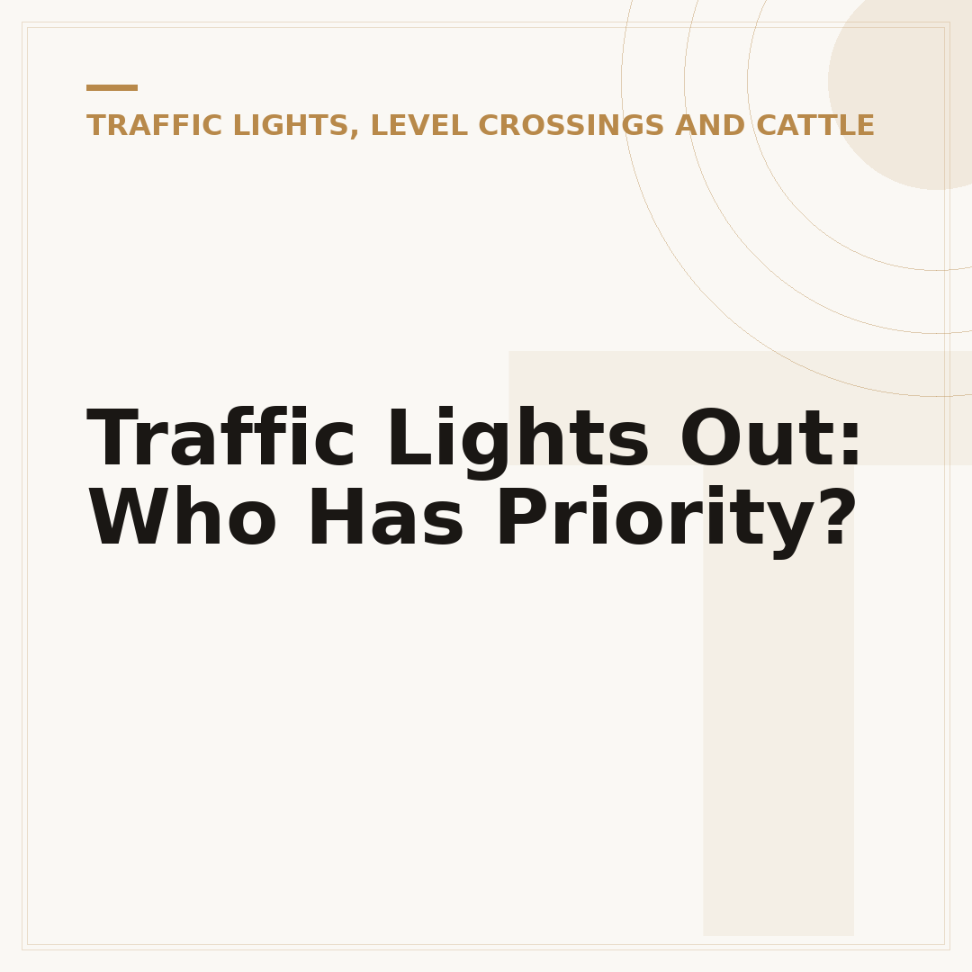 Traffic Lights Out: Who Has Priority?