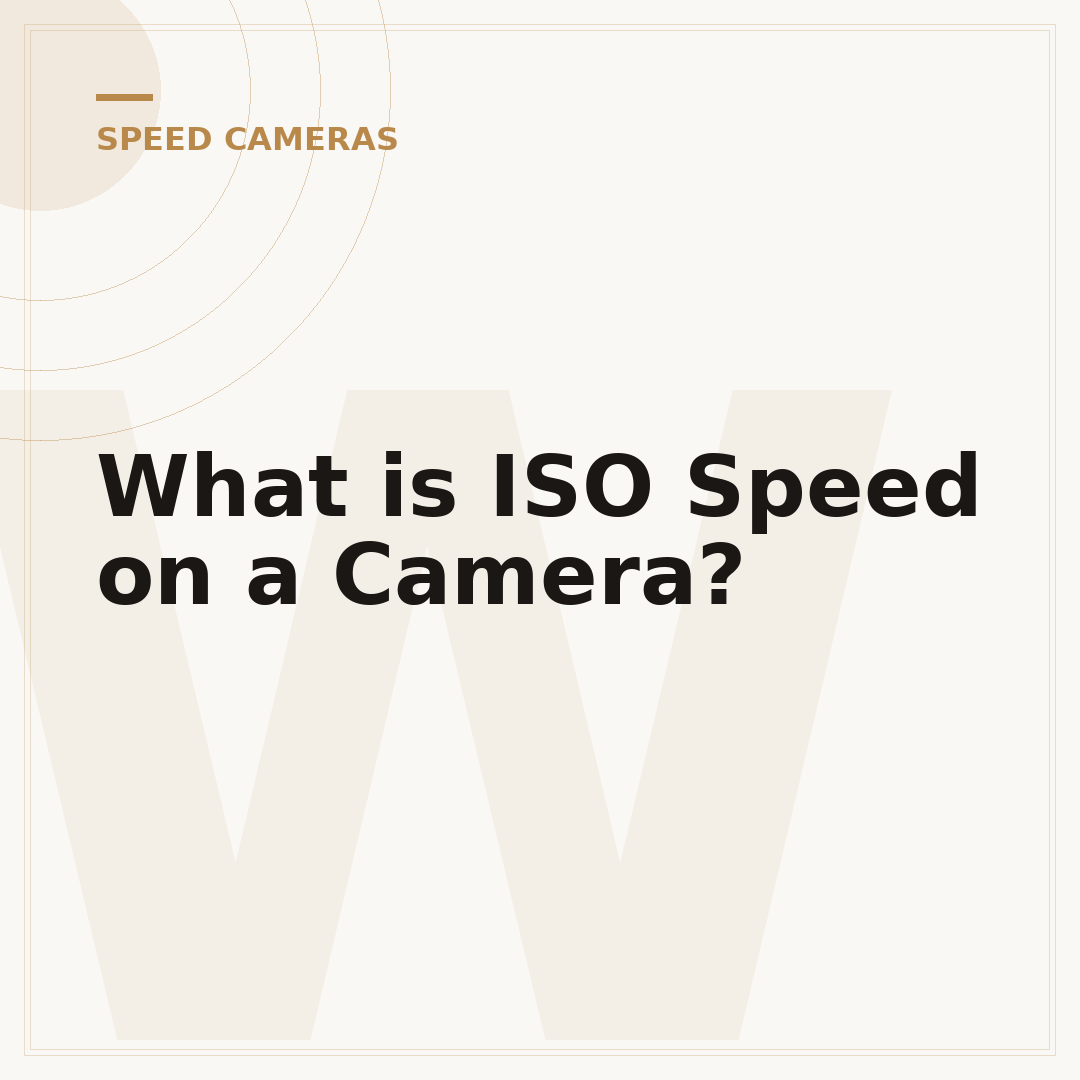 What is ISO Speed on a Camera?