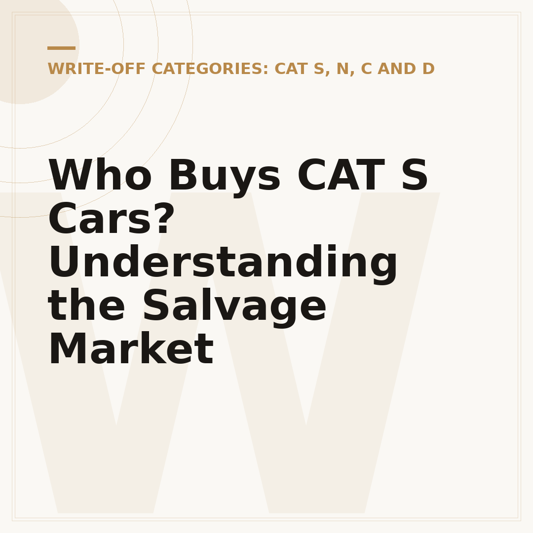 Who Buys CAT S Cars? Understanding the Salvage Market