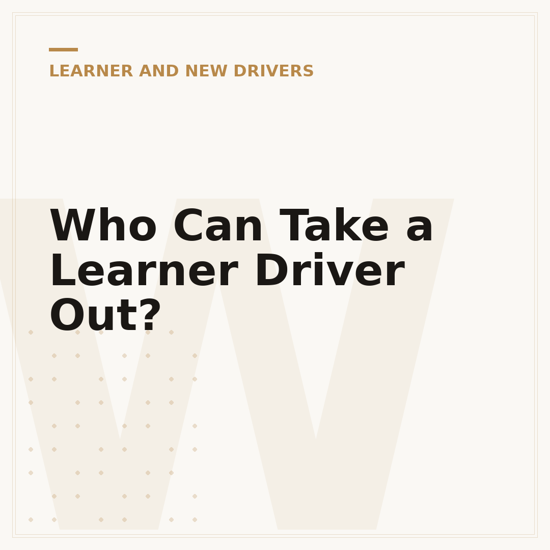 Who Can Take a Learner Driver Out?