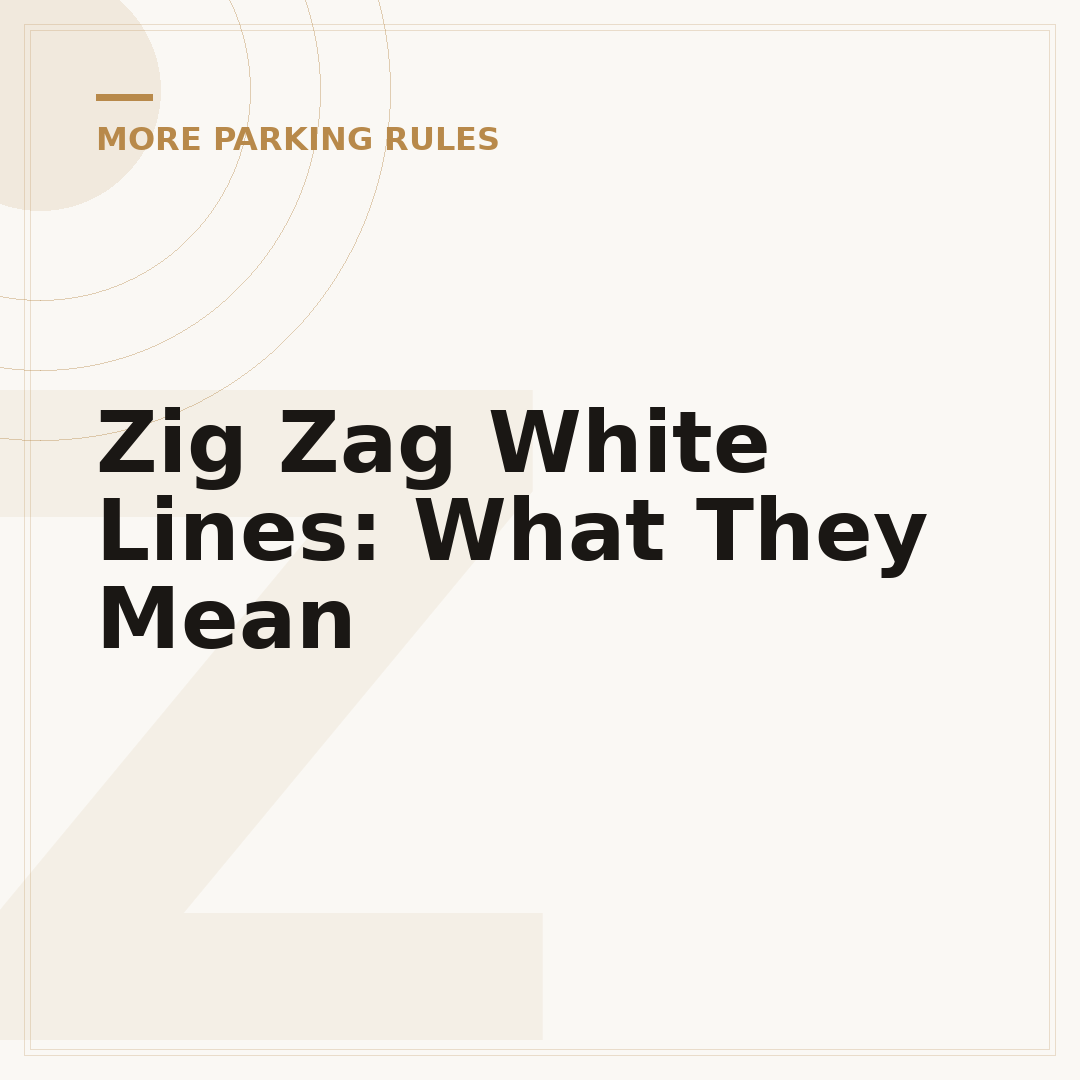 Zig Zag White Lines: What They Mean